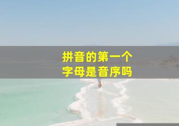 拼音的第一个字母是音序吗