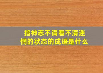 指神志不清看不清迷惘的状态的成语是什么