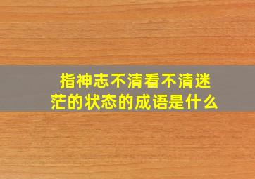 指神志不清看不清迷茫的状态的成语是什么