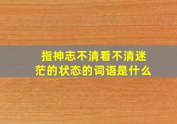 指神志不清看不清迷茫的状态的词语是什么