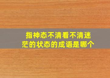 指神态不清看不清迷茫的状态的成语是哪个