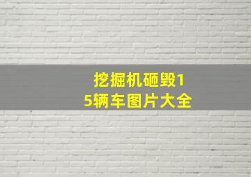 挖掘机砸毁15辆车图片大全