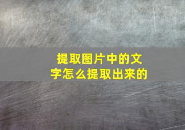 提取图片中的文字怎么提取出来的