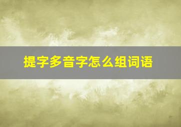 提字多音字怎么组词语