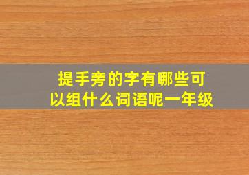 提手旁的字有哪些可以组什么词语呢一年级