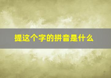 提这个字的拼音是什么