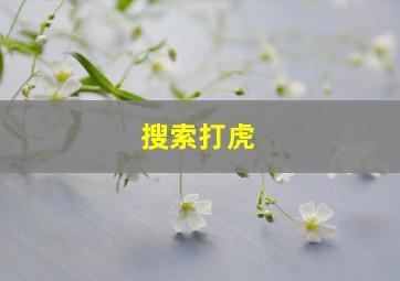 搜索打虎