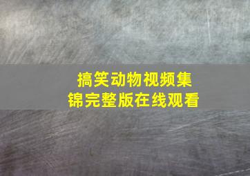 搞笑动物视频集锦完整版在线观看