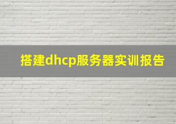 搭建dhcp服务器实训报告