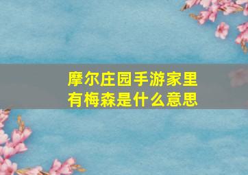 摩尔庄园手游家里有梅森是什么意思