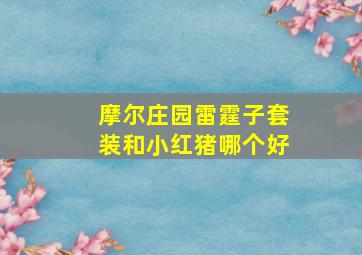 摩尔庄园雷霆子套装和小红猪哪个好