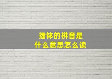 擂钵的拼音是什么意思怎么读