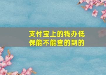 支付宝上的钱办低保能不能查的到的