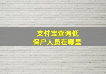 支付宝查询低保户人员在哪里