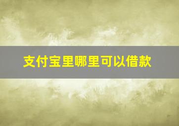 支付宝里哪里可以借款