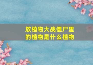 放植物大战僵尸里的植物是什么植物