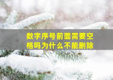 数字序号前面需要空格吗为什么不能删除