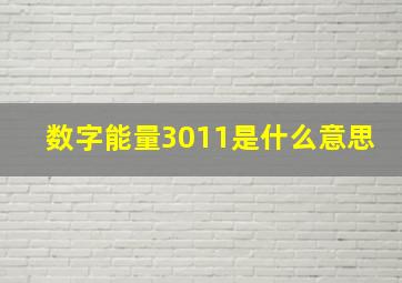 数字能量3011是什么意思