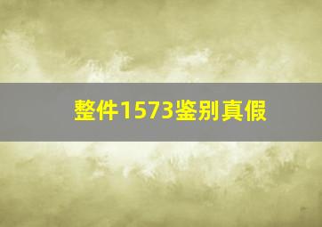 整件1573鉴别真假