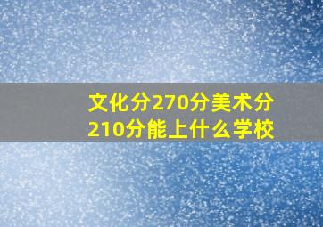 文化分270分美术分210分能上什么学校