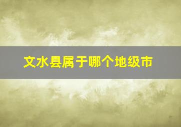 文水县属于哪个地级市