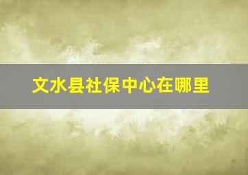 文水县社保中心在哪里