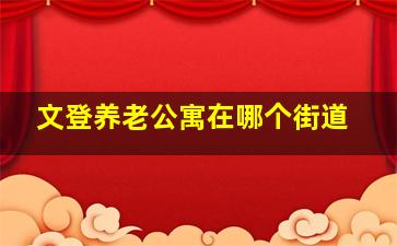 文登养老公寓在哪个街道