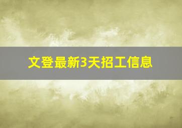 文登最新3天招工信息