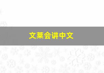 文莱会讲中文