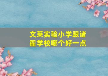 文莱实验小学跟诸翟学校哪个好一点