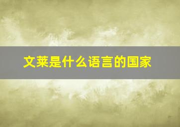 文莱是什么语言的国家