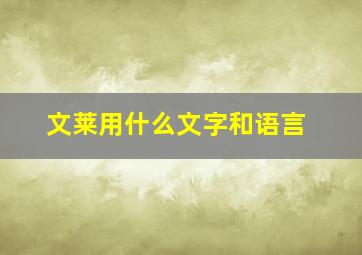 文莱用什么文字和语言