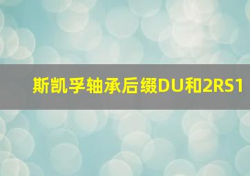 斯凯孚轴承后缀DU和2RS1