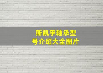 斯凯孚轴承型号介绍大全图片