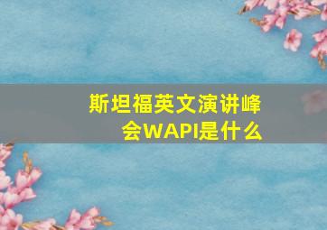 斯坦福英文演讲峰会WAPI是什么