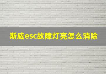 斯威esc故障灯亮怎么消除