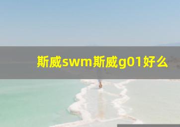 斯威swm斯威g01好么