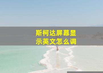 斯柯达屏幕显示英文怎么调