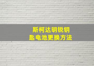 斯柯达明锐钥匙电池更换方法