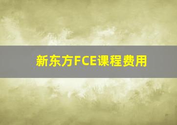 新东方FCE课程费用