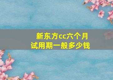 新东方cc六个月试用期一般多少钱