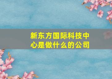 新东方国际科技中心是做什么的公司