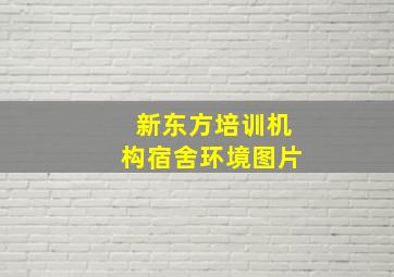 新东方培训机构宿舍环境图片