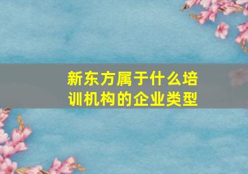 新东方属于什么培训机构的企业类型