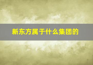 新东方属于什么集团的