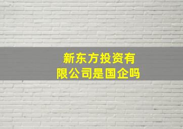 新东方投资有限公司是国企吗