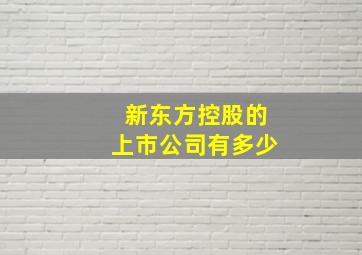 新东方控股的上市公司有多少