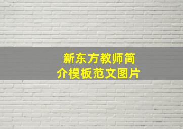 新东方教师简介模板范文图片