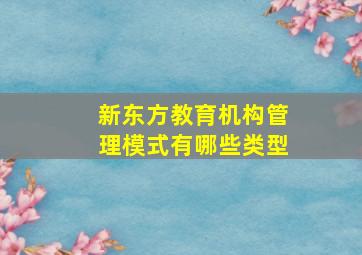 新东方教育机构管理模式有哪些类型