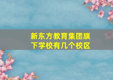 新东方教育集团旗下学校有几个校区